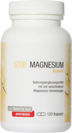 GIB Magnesium Kapseln